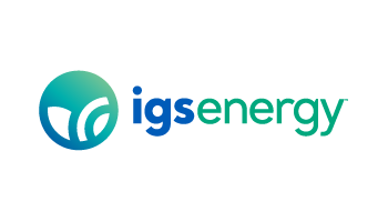 Company logo for IGS